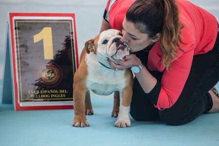 Badajoz, Spain - May 8, 2016: International Exhibition. Woman kissing a winner British Bulldog during the exhibition contestのeditorial素材