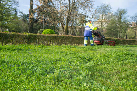 Gardener mowing the grass with engine powered mower at urban park. This is a mid-size walk-behind...