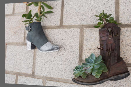 Old shoes reused as flowerpot and attached on outdoor wall. Fun decoration ideasの写真素材