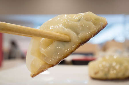 Steam dumpling gyoza between chopsticks. closeupの写真素材