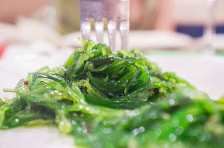 Wakame salad on plate. japanese style foodの写真素材