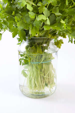 Glass vase full of fresh parsley. Isolated over white backgroundの写真素材