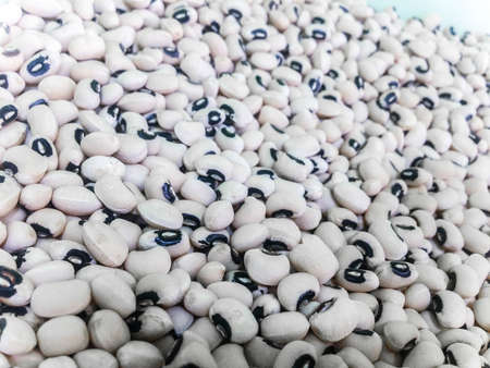 Many dried spanish black-eyed pea. closeup