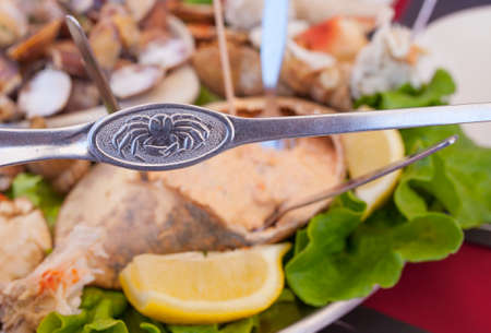 Brown crab fork and portuguese seafood meal or marisqueira as backgroundの写真素材