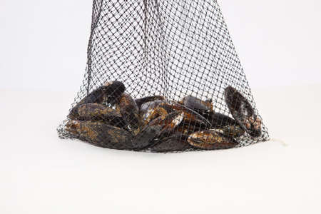 Fresh raw mussels on their net. Isolated on a white background