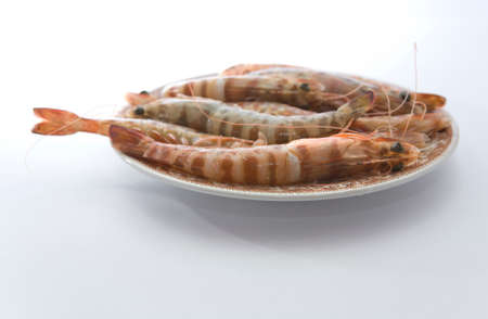 Raw King shrimps on a plate ready to fry or grill, isolated over white background