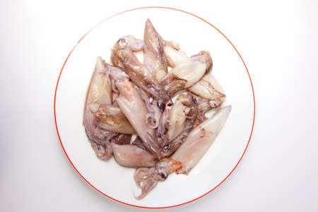 Small freshly squids. Group on plate isolated over white background