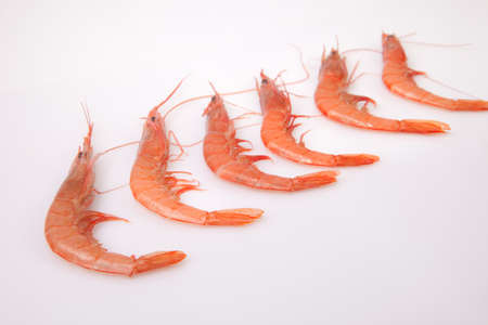 Little white shrimps also called in Spain rice shrimps. They are usually cooked in rice recipes like...