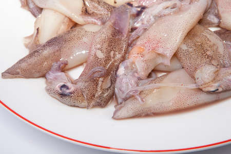 Small freshly squids. Group on plate isolated over white background
