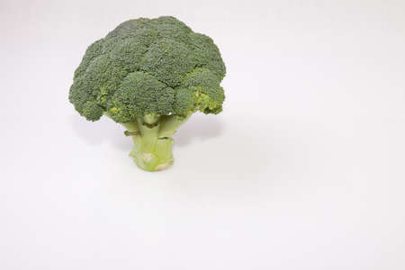 Whole broccoli plant set as a tree. Isolated on white backgroundの写真素材
