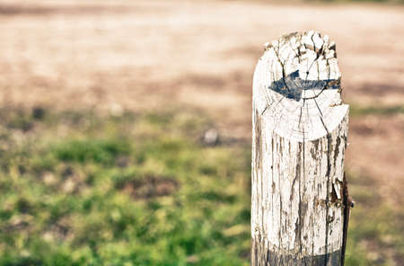 Old rusty wooden pole with a black arrow paintedの写真素材