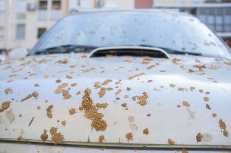 Off road vehicle full of dry mud on the hood. selective focusの写真素材