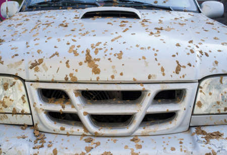 Off road vehicle full of dry mud on the hood. selective focusの写真素材
