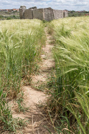 Dolmen of Cerca del Marco Ancient magalithic building near Magacela, Extremadura. Spainの写真素材