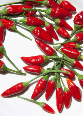 Plate with piri-piri chili pepper. Studio shot with natural light. wood backgroundの写真素材