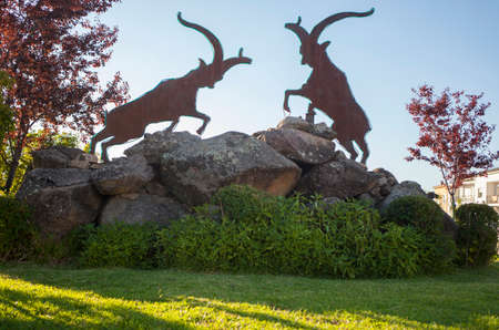 Spanish wild goat roundabout at Losar de la Vera, Caceres, Extremadura, Spainの写真素材