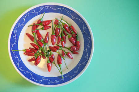 Plate with piri-piri chili pepper. Studio shot with natural light. Turquoise backgroundの写真素材