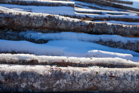 Snowy pile of chestnut logs. Mountain forestry conceptの写真素材
