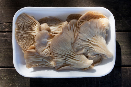 Oyster mushroom or pleurotus ostreatus. Tray placed over wooden picnic tableの写真素材