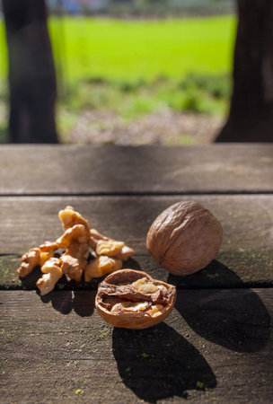 Walnuts over wooden picnic table. natural light shotの写真素材