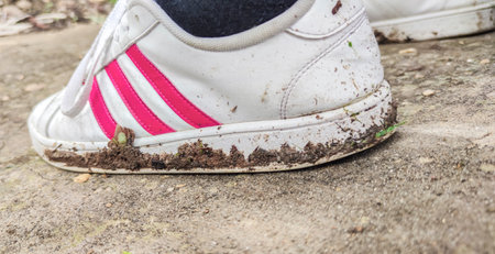 White and new sneakers stained with mud. Inappropriate footwear to walk in the countryside