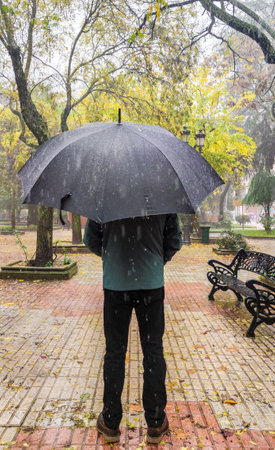 Mature man covered with big black umbrella. Visible sliding thick raindropsの写真素材