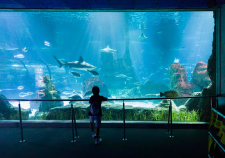 Barcelona, Spain - Jun 28th, 2023: Child boy visiting Aquarium of Barcelona, Catalonia, Spainのeditorial素材