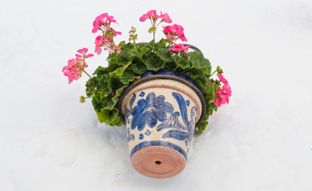 Alfarnatejo walls, white village up on the hill of Malaga mountains, Andalusia, Spain. Townhousesの写真素材