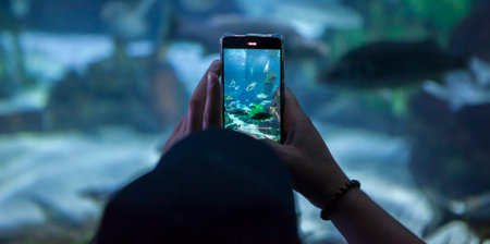 Visitor taking pictures with smartphone at aquarium. soft noise