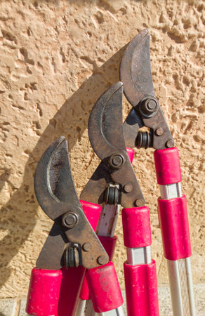 Two-handed shears over rock surface. Pruning activities in gardens