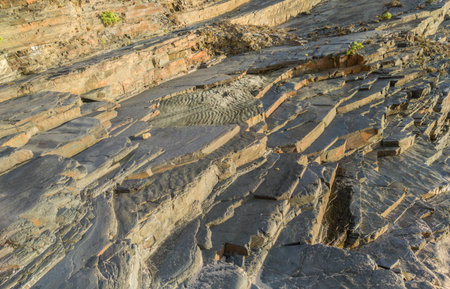 Fossil traces visible in a layer of detached rock. Nossa Senhora beach, Zambujeira do Mar, Odemira,...