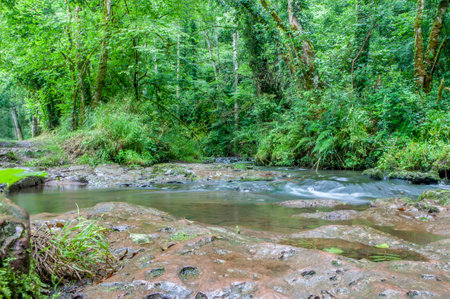 Route of the Profundu River, Villaviciosa, Asturias, Spain. River flowing parallel to the roadの写真素材