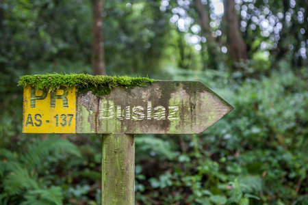Route of the Profundu River, Villaviciosa, Asturias, Spain. Buslaz PR-AS-137 sign postの写真素材