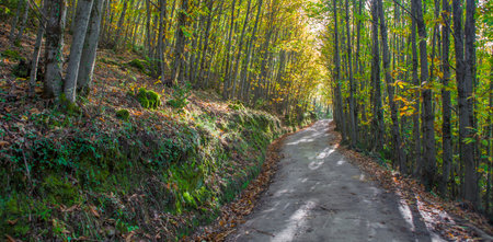 Paved path. Garganta de los Infiernos Natural Reserve, Extremadura, Spain