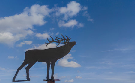 Metal plate with the silhouette of a deer indicating a big game hunting estate. Cloudy blue sky as backgroundの写真素材