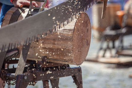 Sawing or trontza, traditional Navarrese and Basque country sport. Competitors cut the trunk into rings a few centimeters thickの写真素材