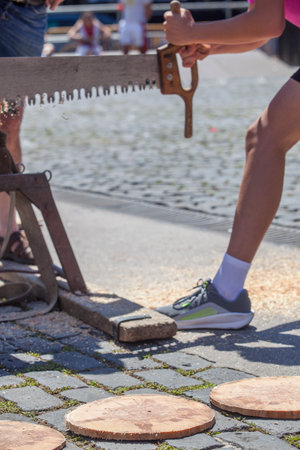 Sawing or trontza, traditional Navarrese and Basque country sport. Competitors cut the trunk into rings a few centimeters thickの写真素材