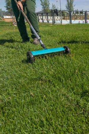 Hand scarifier for lawn in action. Manual tools for lawn maintenance activitiesの写真素材