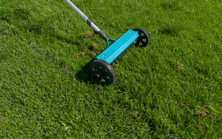 Hand scarifier for lawn in action. Manual tools for lawn maintenance activitiesの写真素材