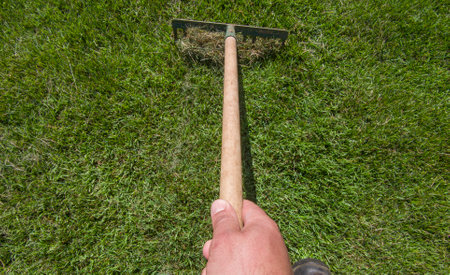 Raking grass waste after cutting the grass. Manual tools for lawn maintenance activitiesの写真素材