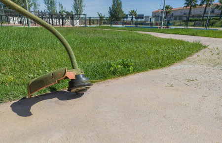 Lawn-edge trimming. Manual tools for lawn maintenance activities