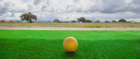 Golf beginners fairway for practicing swing and driving range. Golf hitting mat with yellow ballの写真素材