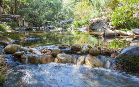 Thermal area of Carves River, Prexigueiro, Ribadavia, Orense, Spain. Green exuberant environmentの写真素材