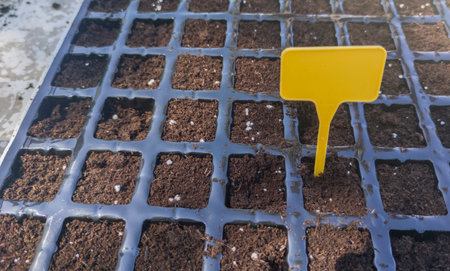 Springtime propagation gardening tasks. Plant Labeling