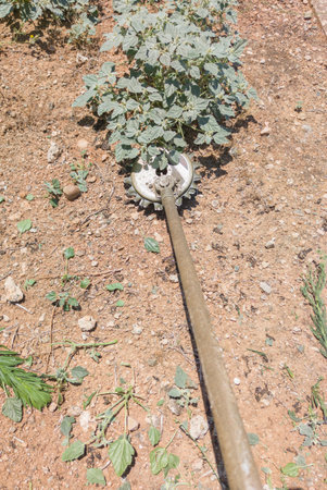 Rotary blade strimmer in action. First person view