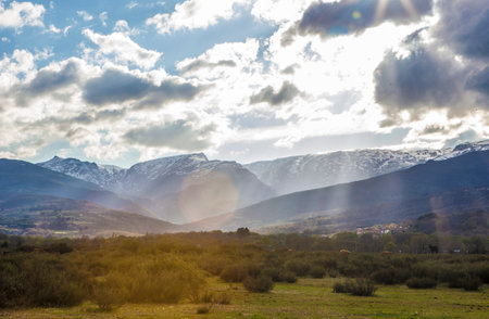 Cows grazing at sunset. Alto Tormes Region landscape, Avila, Castile and Leon, Spain