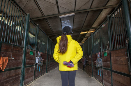 Child girl holds brush at horse stable corridor. Education at riding school concept.の写真素材