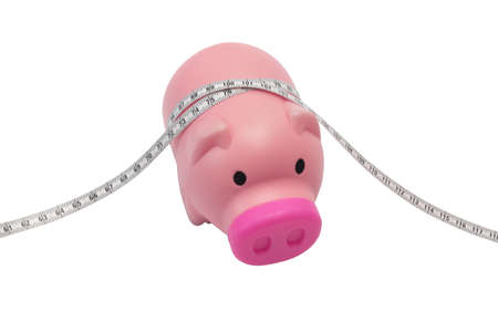 Isolated diet pig on white backgroundの写真素材