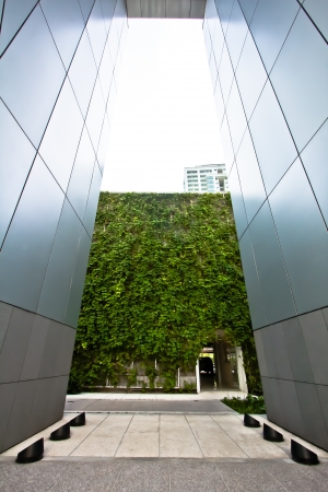 modern corridor design with vertical garden at the end  の写真素材
