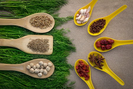 Wooden Spoon filled with colorful spices on green vagetableの写真素材